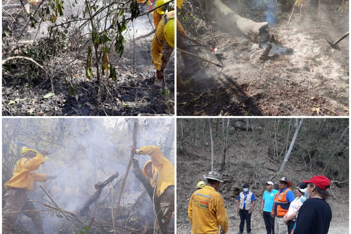 Gobierno y FFAA extreman recursos para sofocar incendios en Santa Cruz