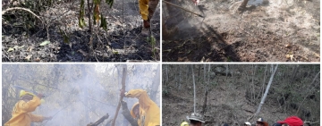 Gobierno y FFAA extreman recursos para sofocar incendios en Santa Cruz