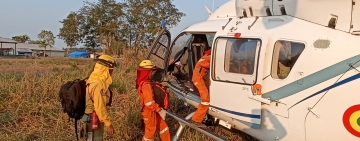 Gobierno desplaza a bomberos de las FFAA para sofocar los incendios en Santa Cruz y Beni