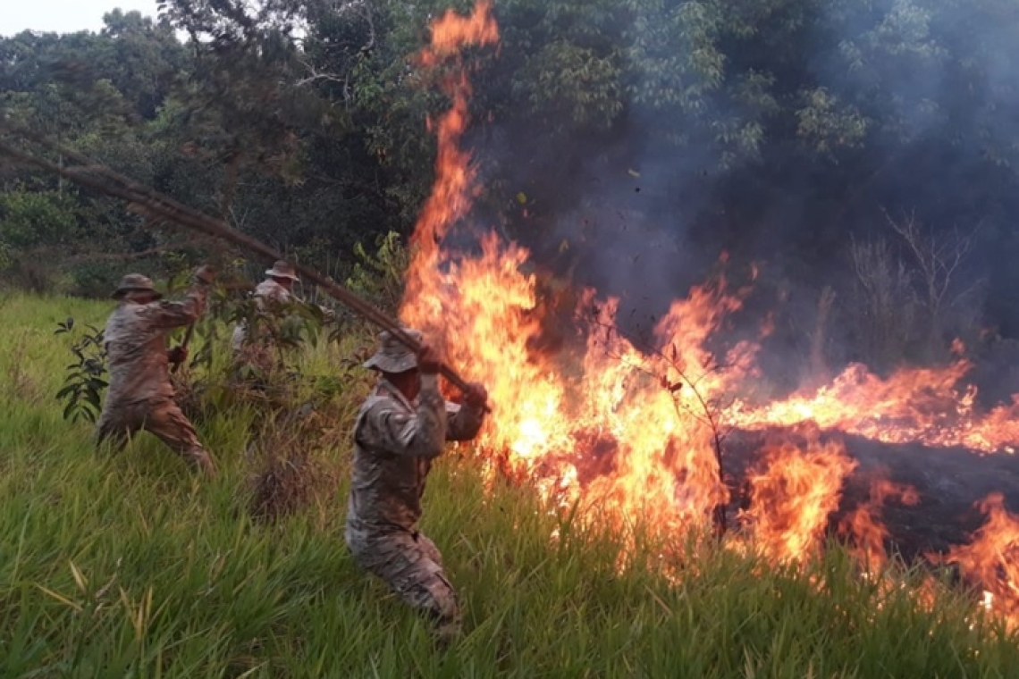 Marinos desplazados para extinguir incendios forestales en el Pantanal Boliviano