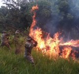 Marinos desplazados para extinguir incendios forestales en el Pantanal Boliviano