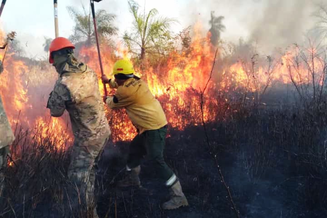 Bomberos de las FFAA sofocan incendios en Yacuiba Tarija y en Chuquisaca