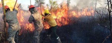 Bomberos de las FFAA sofocan incendios en Yacuiba Tarija y en Chuquisaca