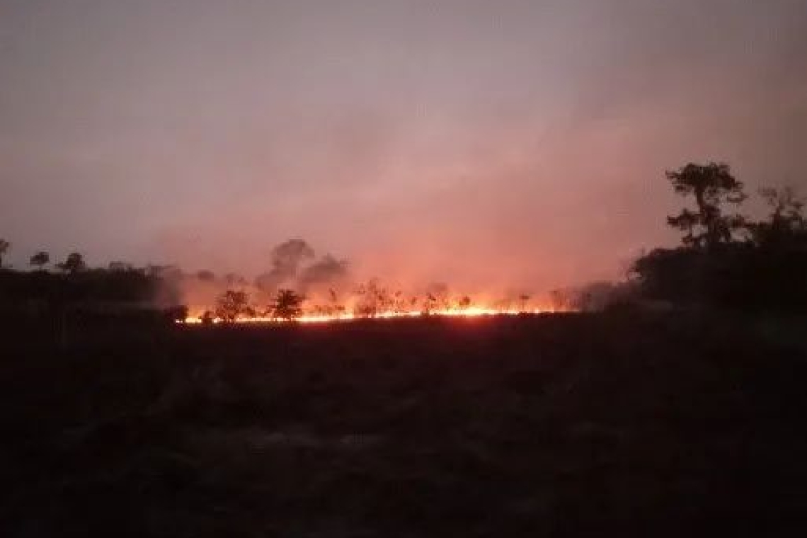 ABT detiene quema ilegal de cordones en San José de Chiquitos