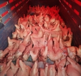 Militares interceptan ingreso ilegal de carne de cerdo en frontera con Perú