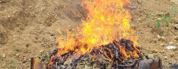 UNODC avala destrucción de 433,5 kilos de marihuana en Cochabamba