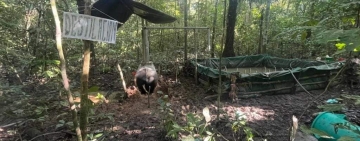 UMOPAR desmantela laboratorio con capacidad de producir por día 50 y 70 kilos de clorhidrato 