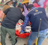 En operativo conjunto, comisan pescados y quesos por falta de aseo en Sucre