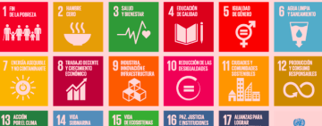 Principales desafíos de la agenda 2030 en relación al Desarrollo Humano y Ambiental.