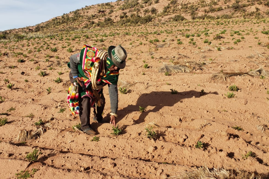 El 92% de las tierras en Bolivia están saneadas y el 45% de los títulos está en manos de mujeres, destaca el INRA