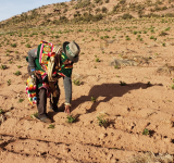 El 92% de las tierras en Bolivia están saneadas y el 45% de los títulos está en manos de mujeres, destaca el INRA