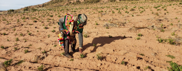 El 92% de las tierras en Bolivia están saneadas y el 45% de los títulos está en manos de mujeres, destaca el INRA