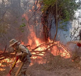 Bomberos forestales combaten incendios causada por los chaqueos en Cochabamba