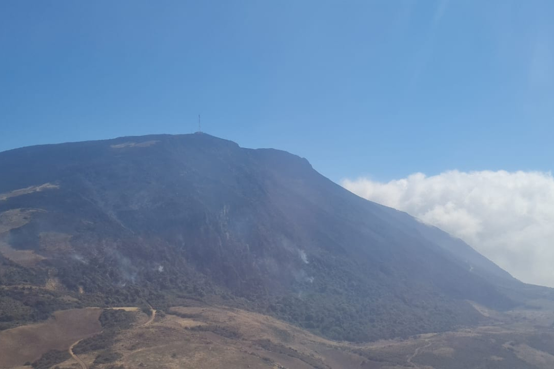 Incendios forestales en municipios de la Paz y Cochabamba son controlados 