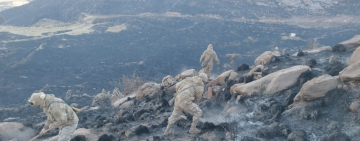 Bomberos forestales controlan incendios en municipios de La Paz