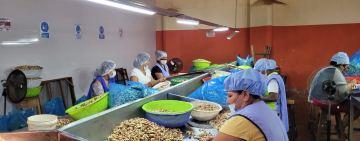 Trabajadoras bolivianas tienen asueto de mediodía por el Día de la Mujer