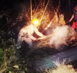 La UMSA desplaza brigadas de ayuda a San Buenaventura azotado por las quemas