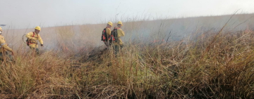 Cero incendios en el país, el que quedaba en Palos Blancos fue sofocado