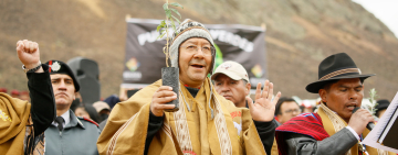 En El Alto plantan 5.000 plantines de árboles para proteger fuentes de agua, Arce llama a actuar por el medio ambiente