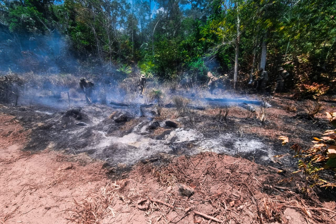 Ofensiva aérea y terrestre para sofocar 11 incendios en tres regiones del país