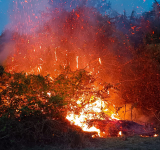 Llega ayuda de bomberos venezolanos para sofocar incendios en el país 