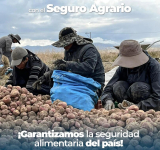 Gobierno asegura más de 136.000 ha de cultivos contra efectos climatológicos, paga Bs 1.000 por ha perdida o dañada