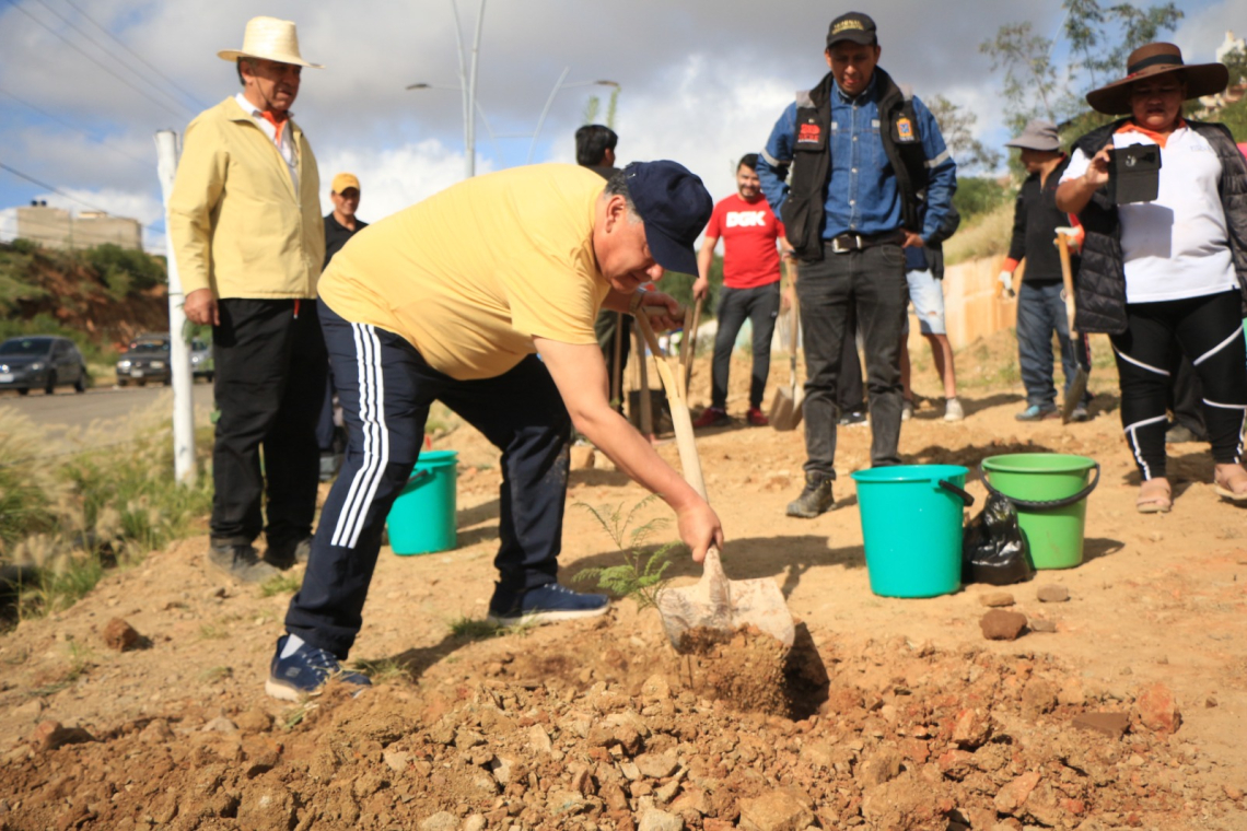 Fiscalía inicia con 200 plantines Plan Nacional de Reforestación