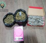 FELCN salvaguarda a la juventud y retira 2.838 dosis de marihuana