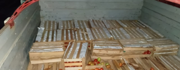 Militares comisan 500 cajas de tomate y 12 lavadoras de contrabando