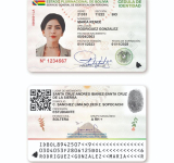 Decreto viabiliza “emisión automatizada” de cédulas de identidad y licencias para conducir