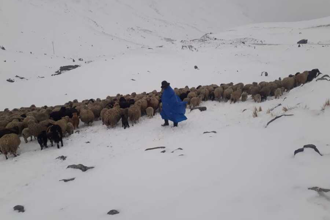 Senamhi pronostica posibles nevadas en las cordilleras