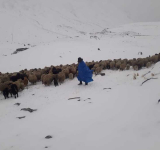 Senamhi pronostica posibles nevadas en las cordilleras