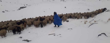 Senamhi pronostica posibles nevadas en las cordilleras