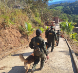 Fiscalía y Policía intervienen hacienda en Tocaña para encontrar a Odalis