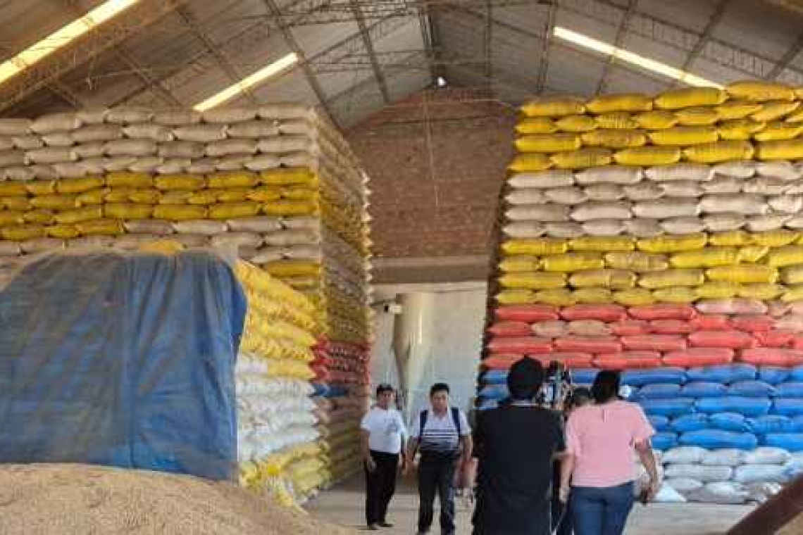 Reforzarán controles en mercados y fronteras para garantizar el abastecimiento del arroz 