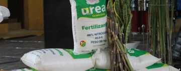 Venta de urea en el mercado interno alcanza a cerca de $us 12 millones al primer semestre 