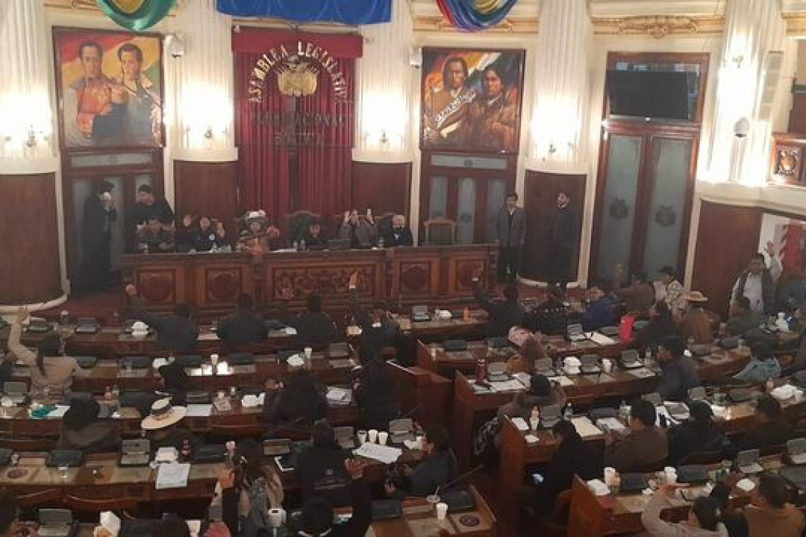 Diputados aprueba ley de suspensión de elecciones primarias en maratónica sesión y en medio de incidentes