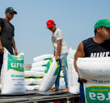 YPFB alcanza venta de 40.515 t de urea en el mercado interno, Santa Cruz es el mayor consumidor