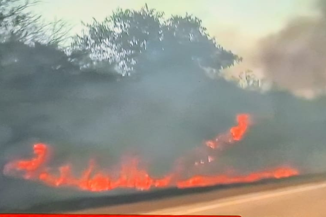 Fiscalía-Policía priorizan dar con asesinos del medio ambiente y la naturaleza