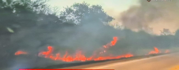 Fiscalía-Policía priorizan dar con asesinos del medio ambiente y la naturaleza