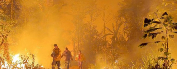 Controlar las plantas secas y eliminar las quemas