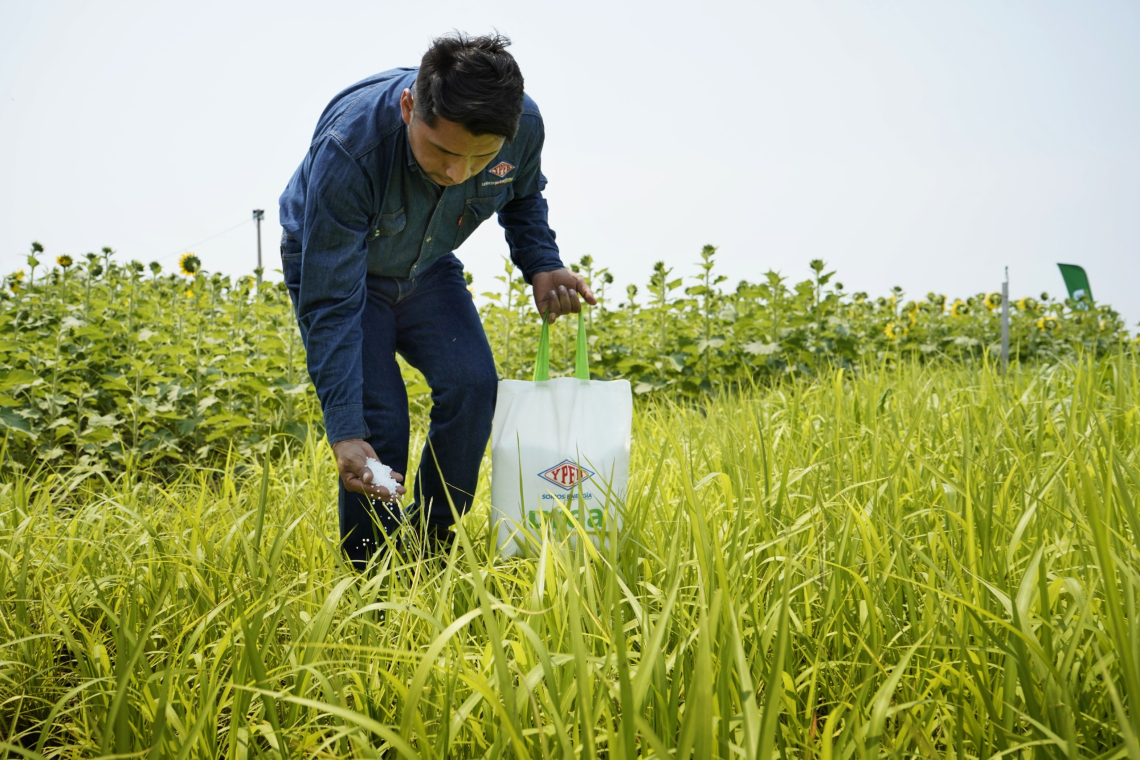 Santa Cruz es el departamento que consume el 63% de urea producida por YPFB