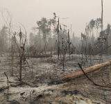 Marinos desafían condiciones extremas para sofocar incendios en Beni