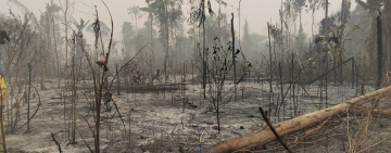 Marinos desafían condiciones extremas para sofocar incendios en Beni