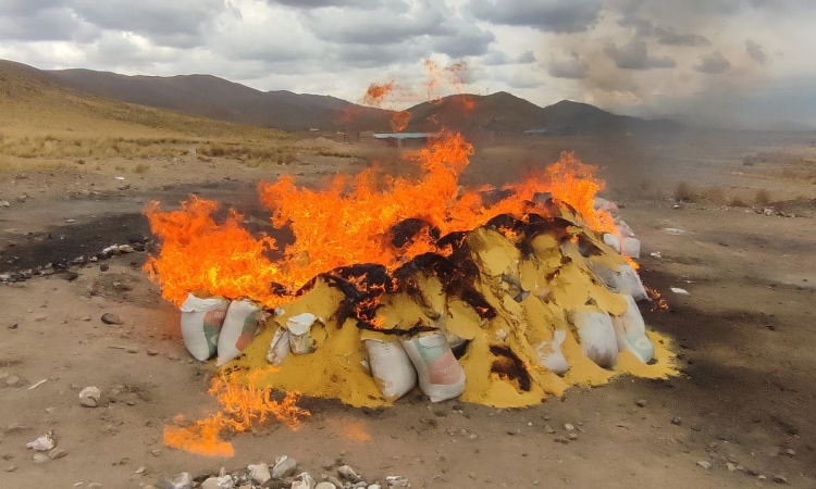 Incineran 21,6 toneladas de cocaína encontradas en medio de harina de soya destinada a Alemania 