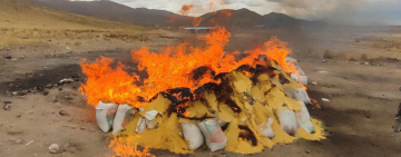 Incineran 21,6 toneladas de cocaína encontradas en medio de harina de soya destinada a Alemania 