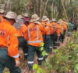 Defensa Civil desplaza por tierra y aire equipos para sofocar incendios en el Madidi