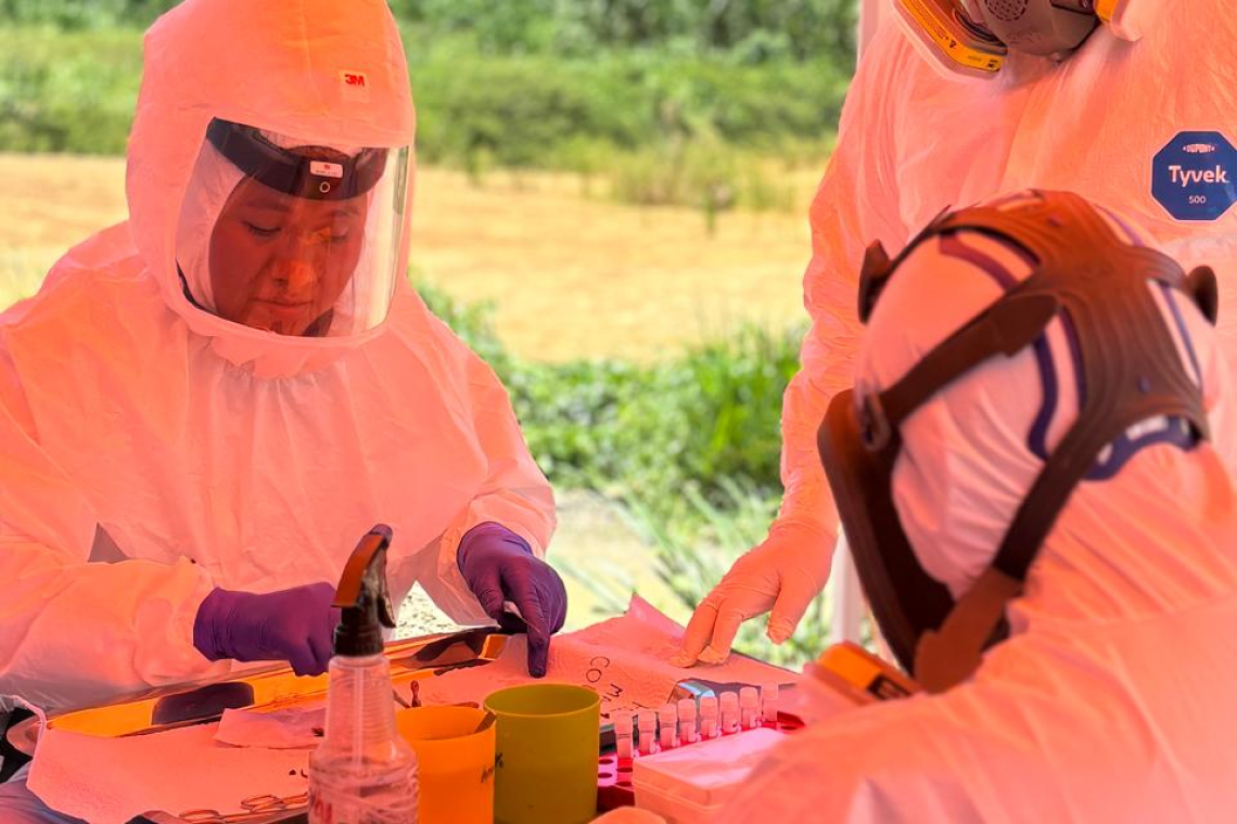 Salud refuerza la prevención del Hantavirus y Fiebre Hemorrágica