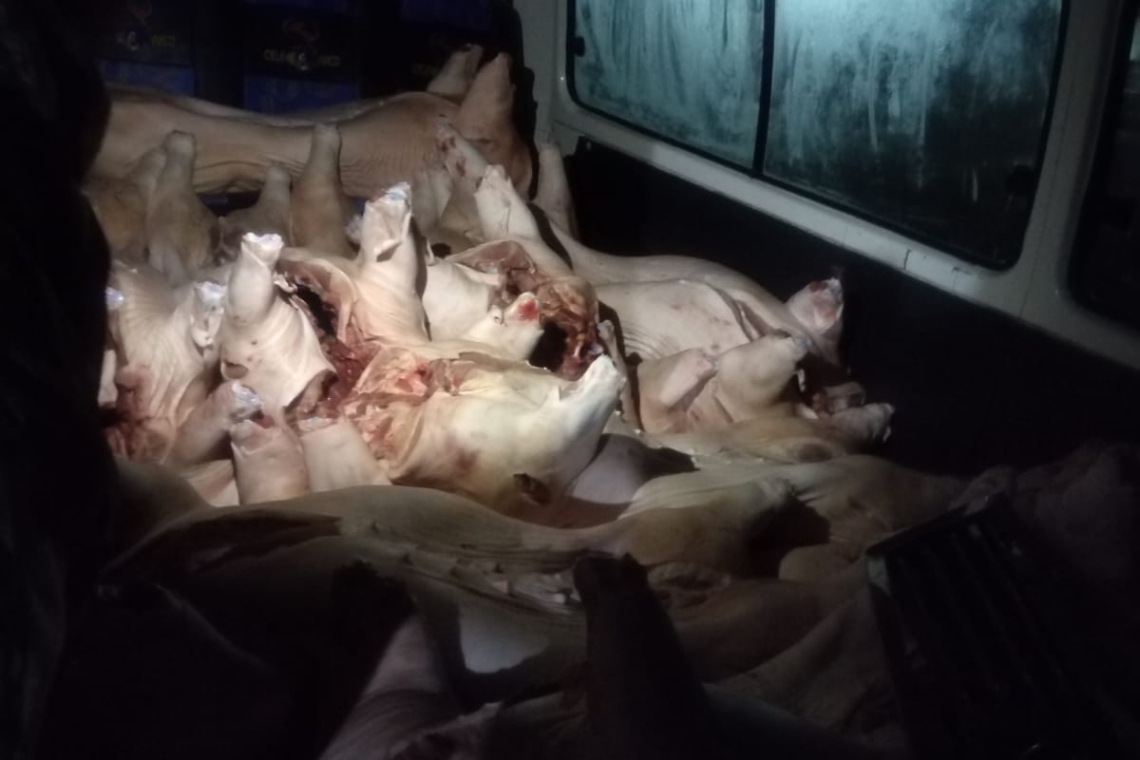 En frontera con Perú comisan 3.000 kilos de carne de cerdo y 220 sacos de yuca