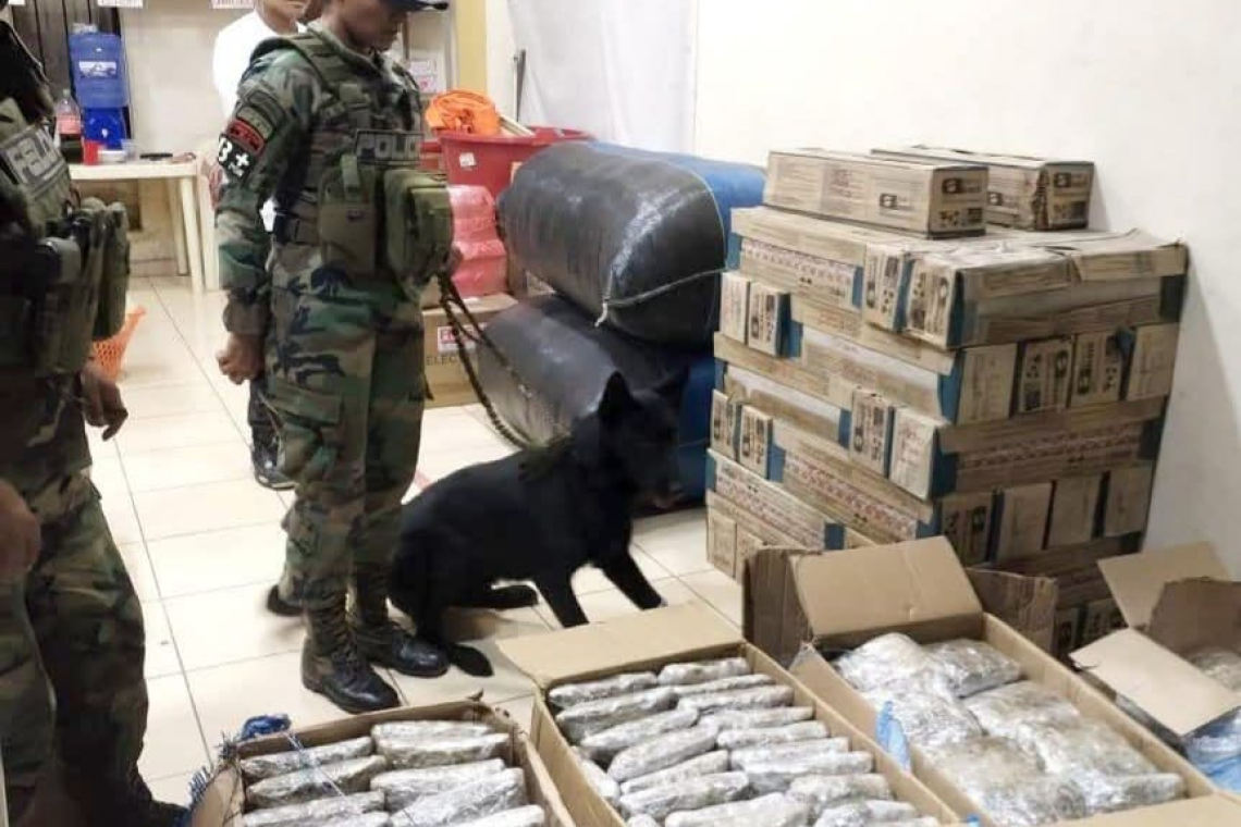 Can antidroga detecta marihuana en almacenes de encomienda